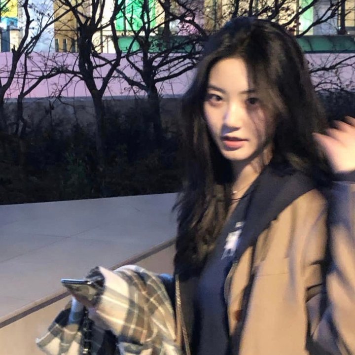 娜娜的玫瑰战争